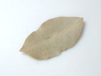 Bayleaf