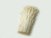 Enoki mushroom