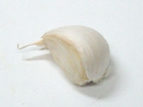 garlic