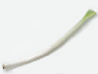 Leek