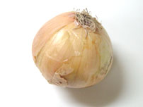 Onion
