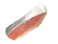 Salmon