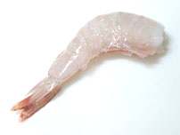 Shrimp