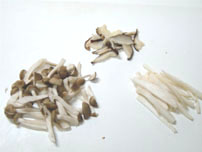 Soup Spaghetti with Mushroon